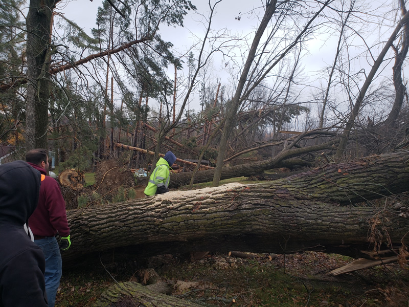/pictures/Trail Clean Up 2018/20181104_073309.jpg